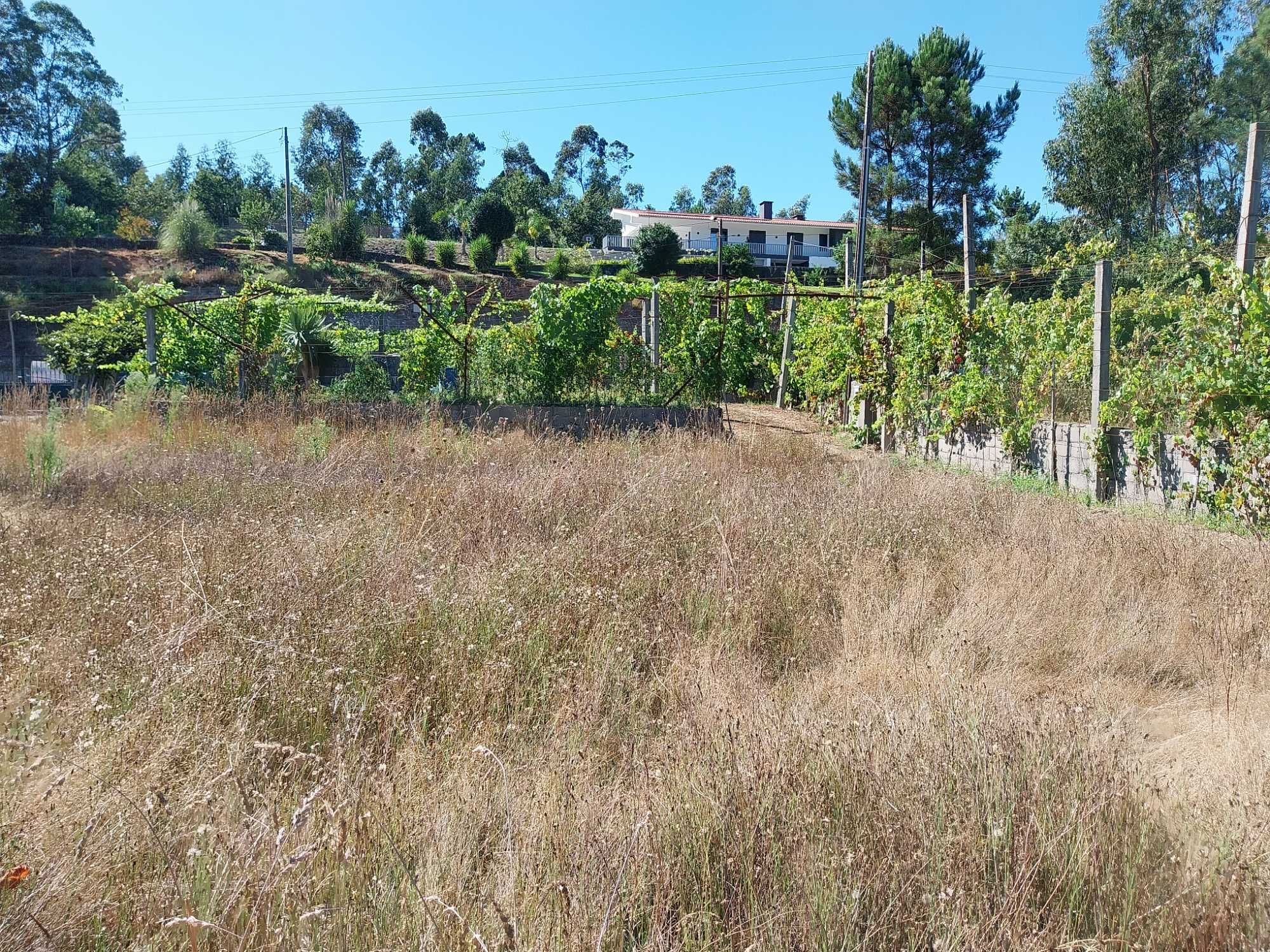 Terreno à venda em Ruílhe