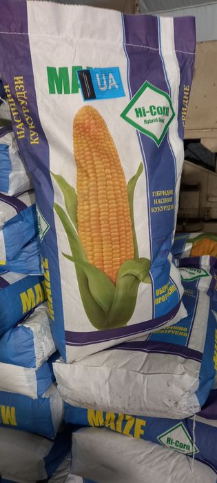Насіння кукурудзи. Семена кукурузы