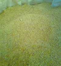 Kukurydza CCM w bigbagach - śrutowane, mielone zakiszone ziarno