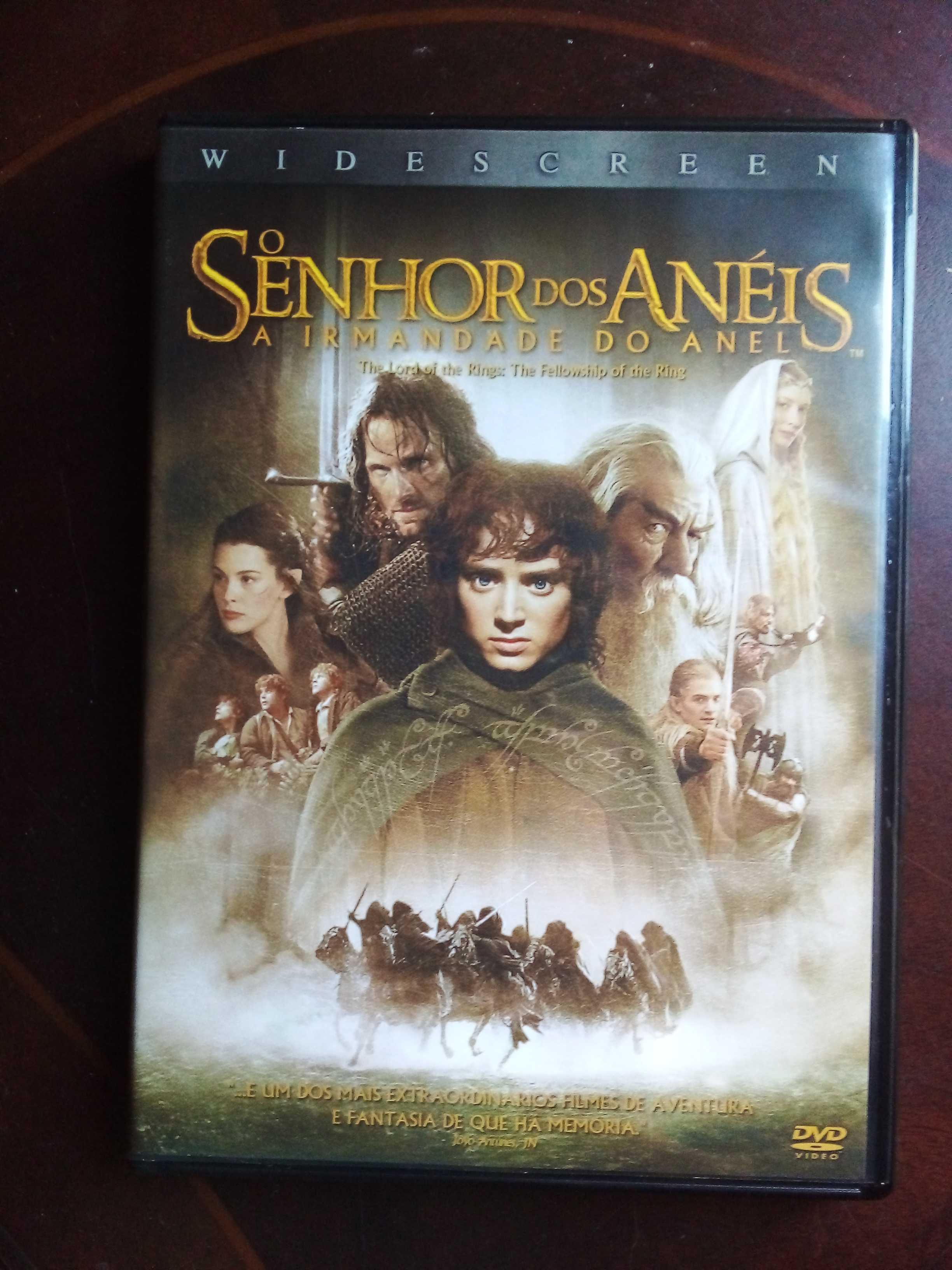 Dvd «O Senhor dos Anéis: A Irmandade do Anel» de Peter Jackson,2 disc.