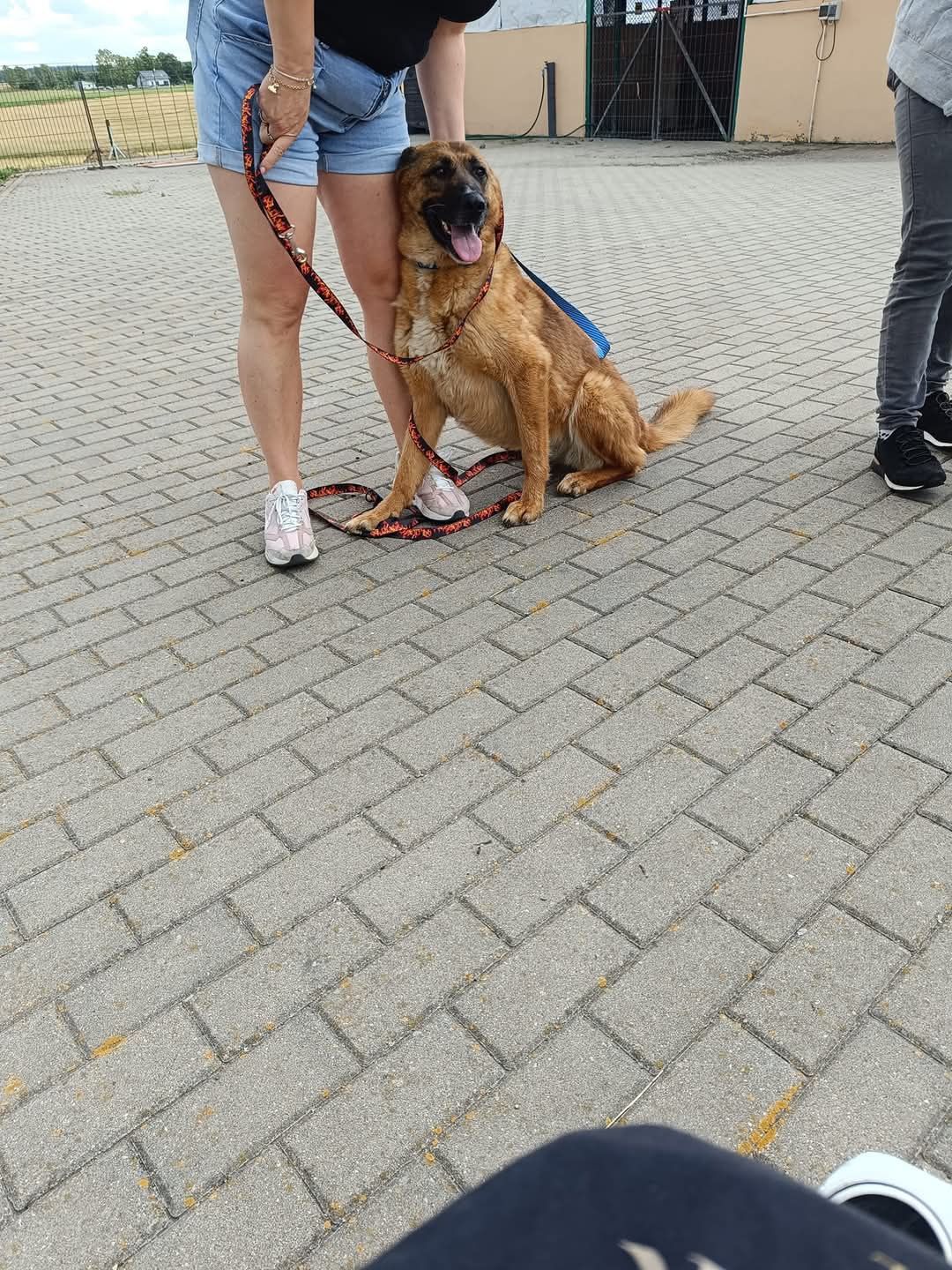 Kama czeka na dom