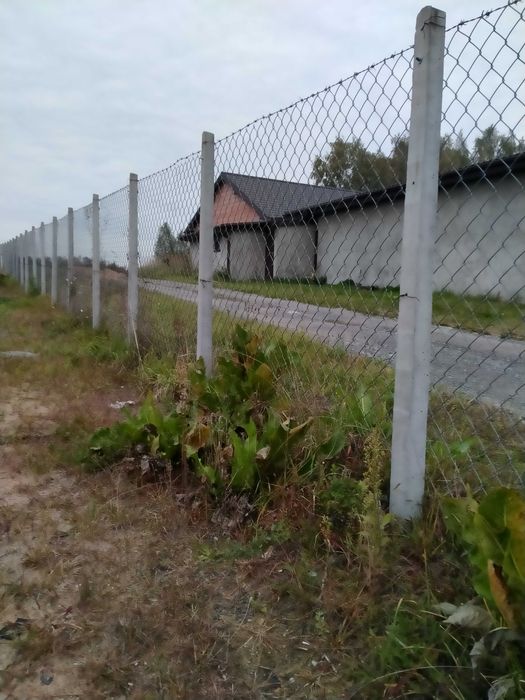 SŁUPKI Betonowe do siatki i  sadu PRODUCENT