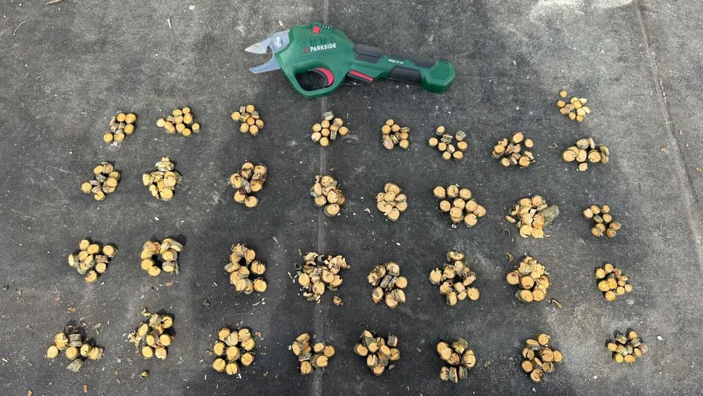 Садовий акумуляторний секатор ножиці садові акумаляторні через USB-C