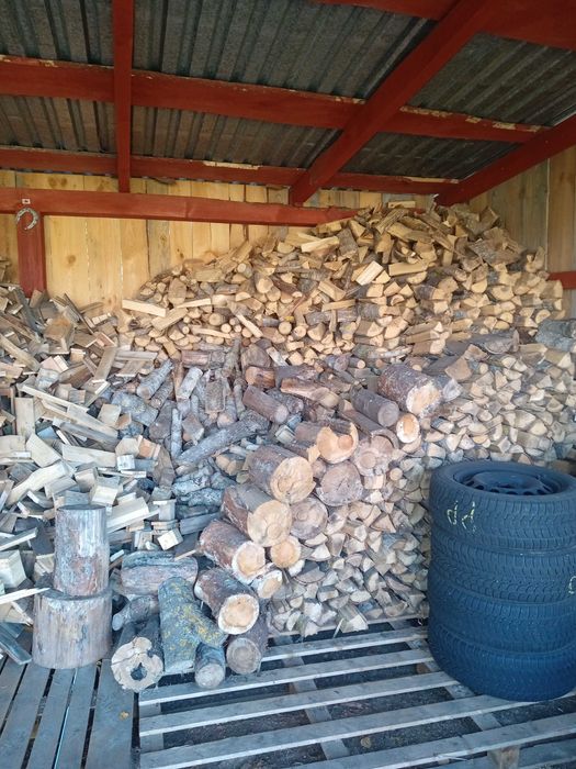 Drzewo opałowe kominkowe Drewno Opał