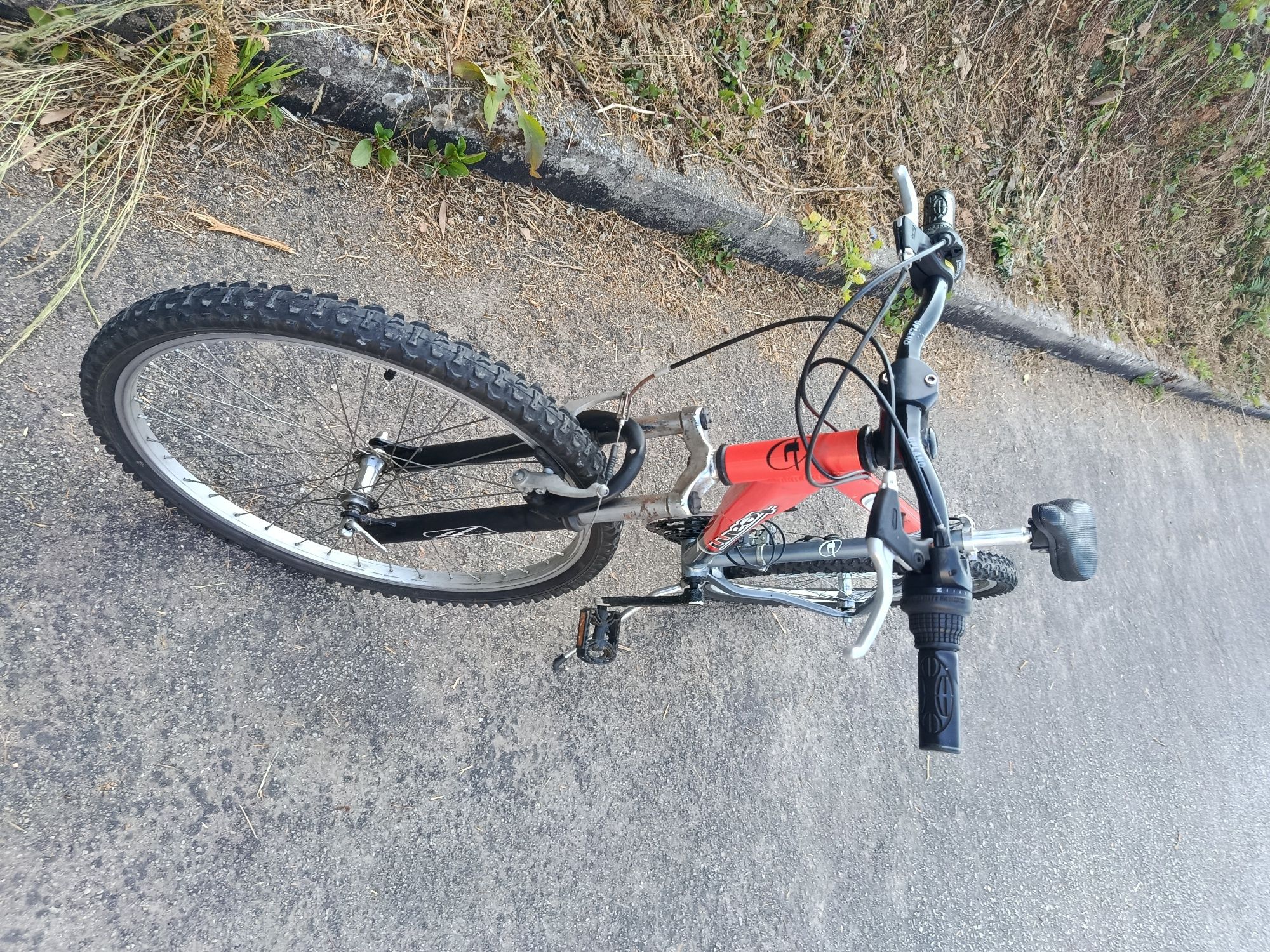 Bicicleta de montanha