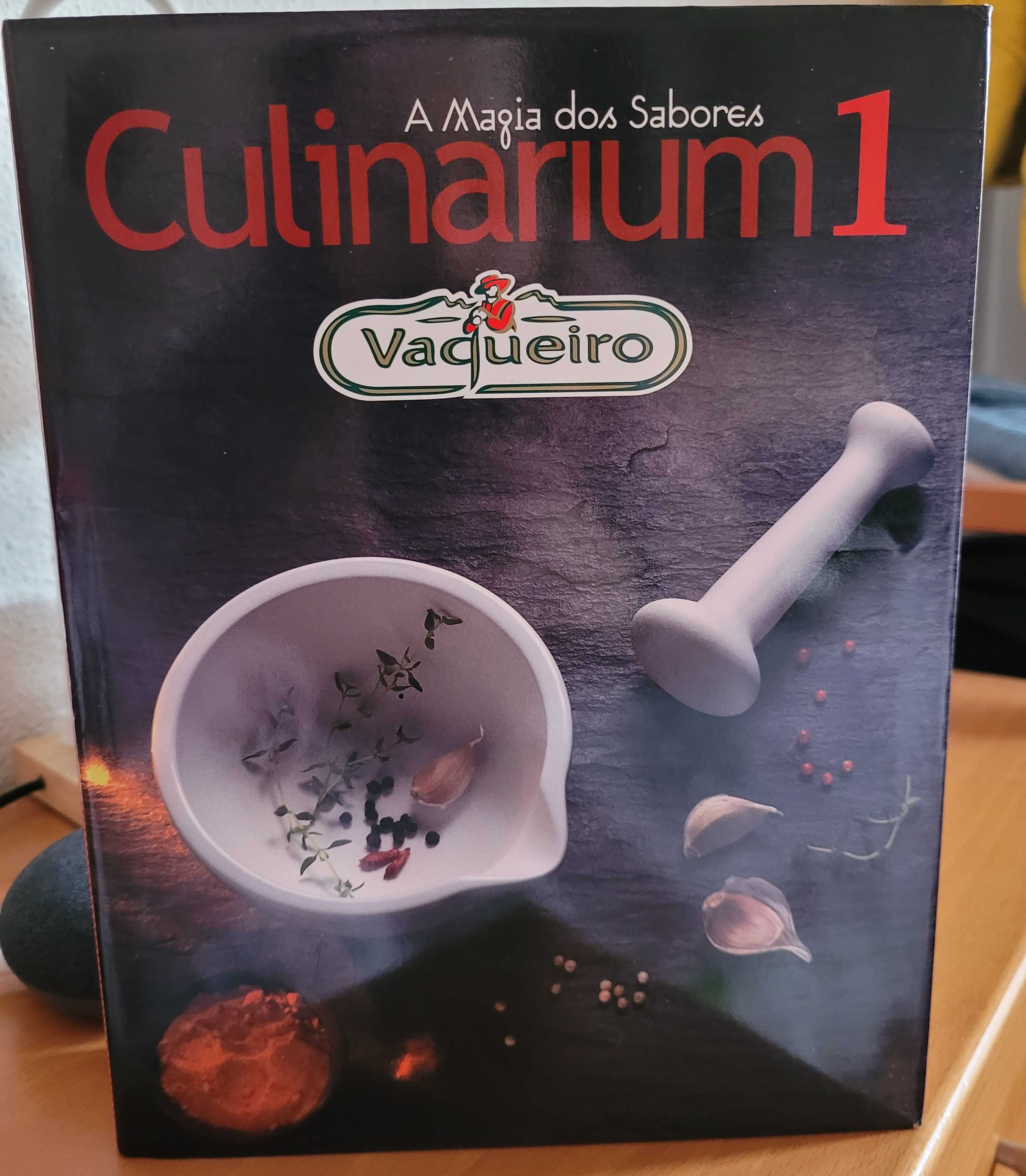 Vaqueiro Culinarium - A Magia dos Sabores