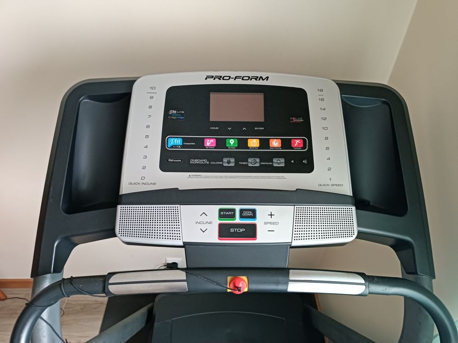 Passadeira profissional