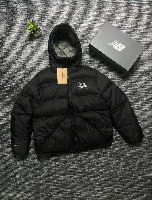 Пухлвик стусі.