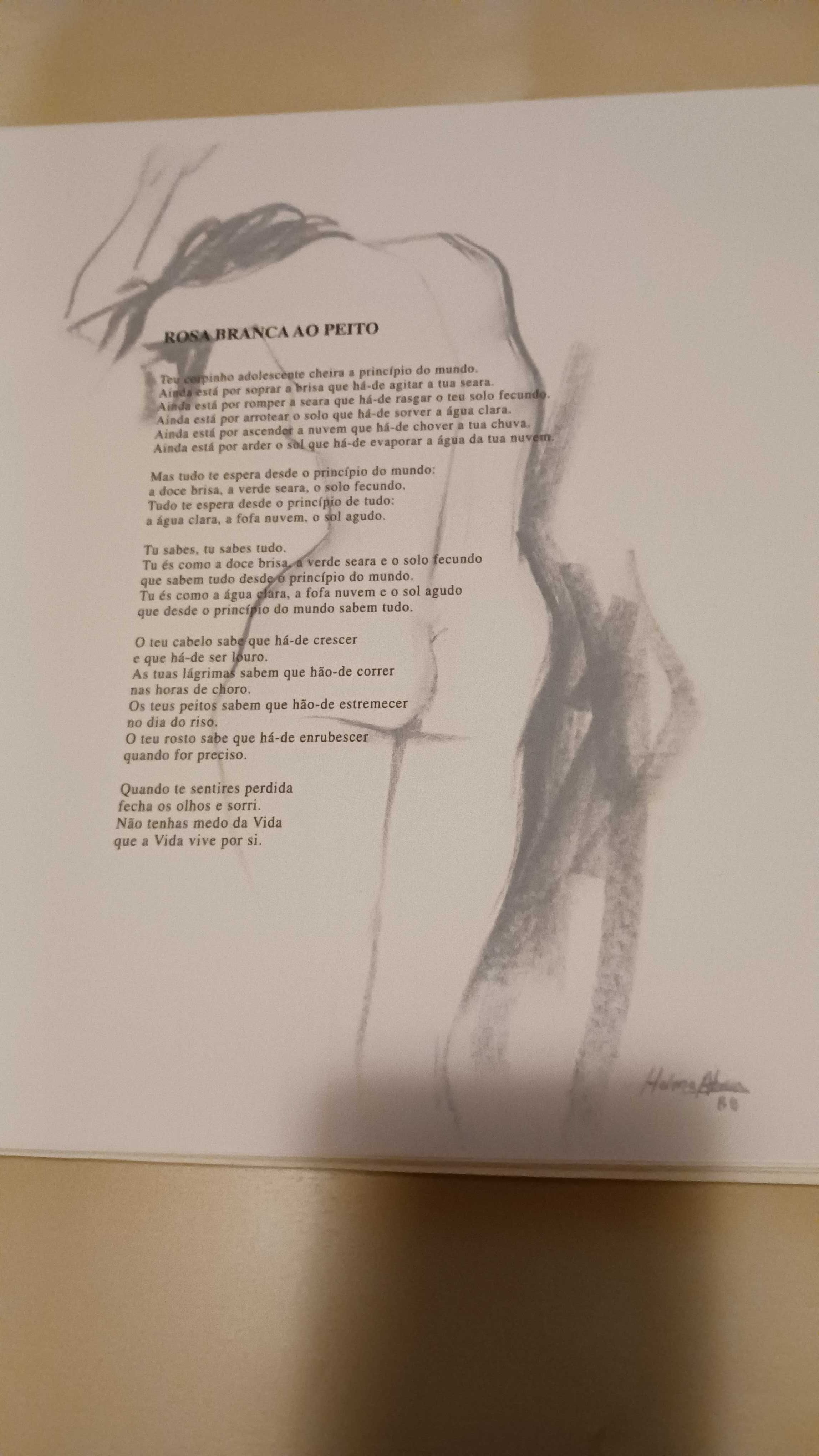 Livro Desenhos Helena Abreu e poemas de António Gedeão