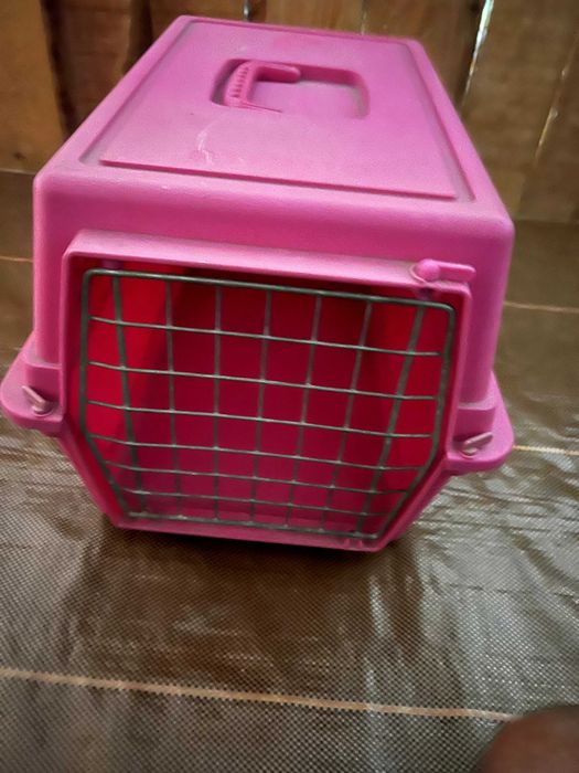 Caixa de transporte e caixa de areia gato/cão