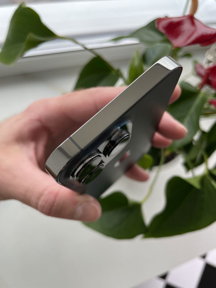 Apple iPhone 13 Pro Graphite 256 Gb Never Lock