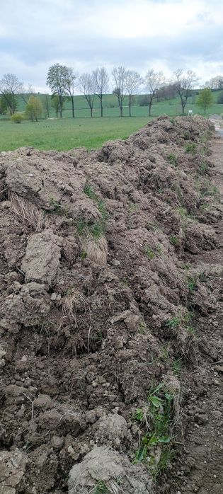 Ziemia polna ogrodowa