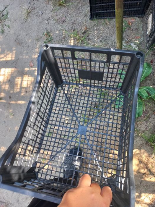 Skrzynki na owoce i warzywa mocne