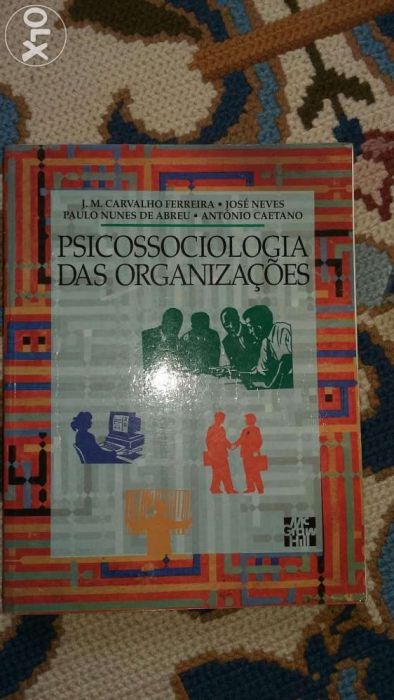 Psicossociologia das Organizações