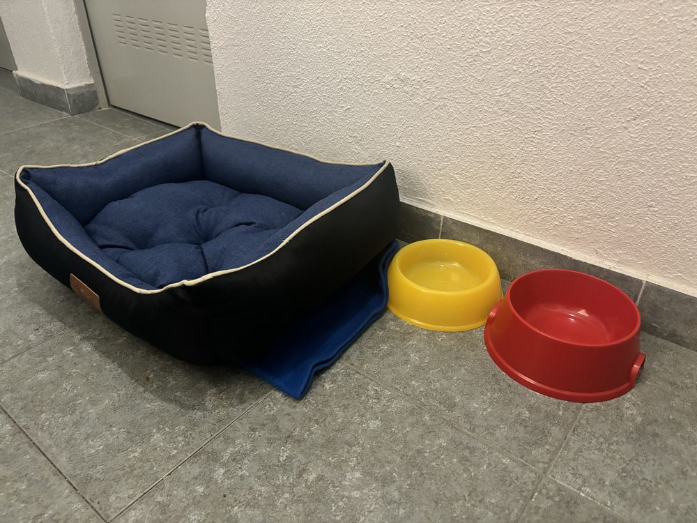 Cama e recipientes  para animais