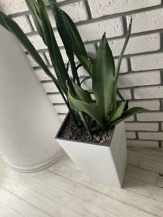 Вазон с цветами двойное дно