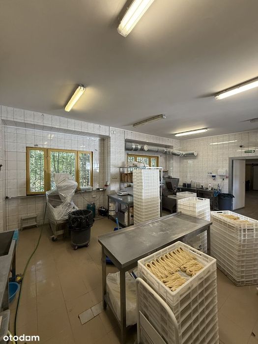 Lokal produkcja catering