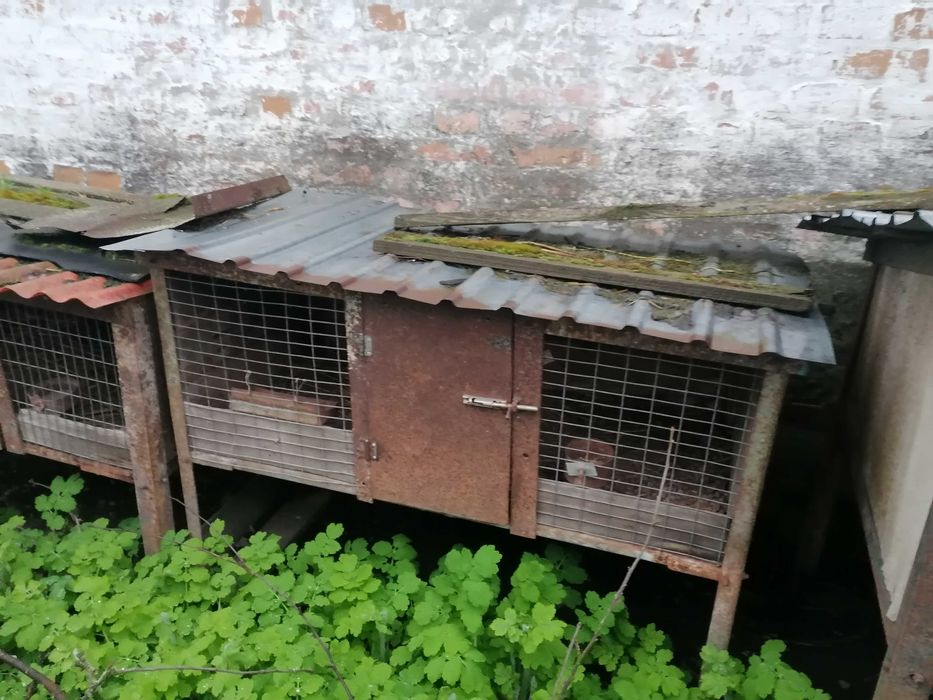 Клітки для кролів залізні