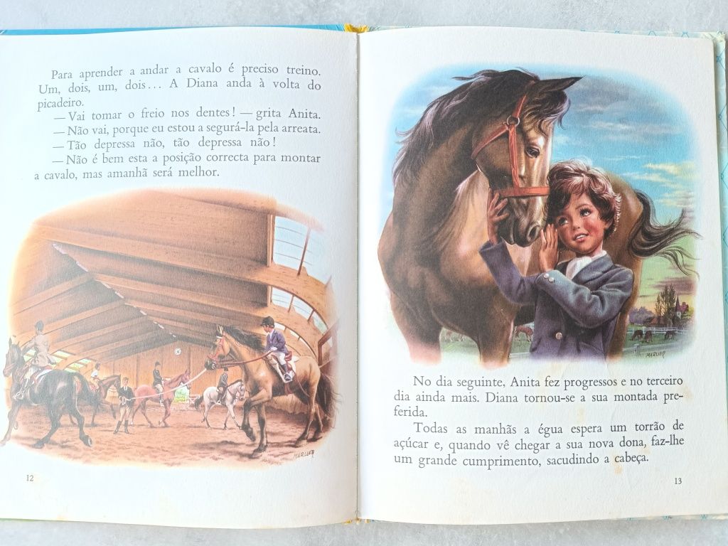 Livros Anita da verbo infantil