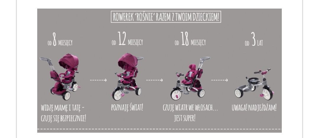 Rowerek trójkołowy Sun baby Little Tiger