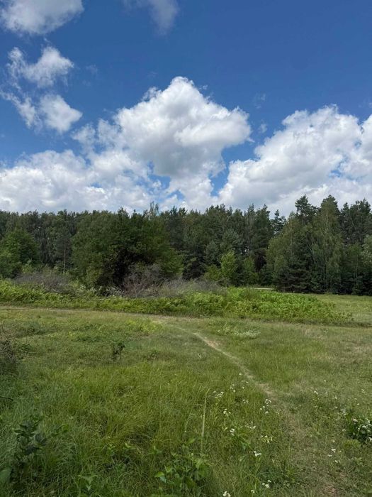 Продаж будинку біля Кременця