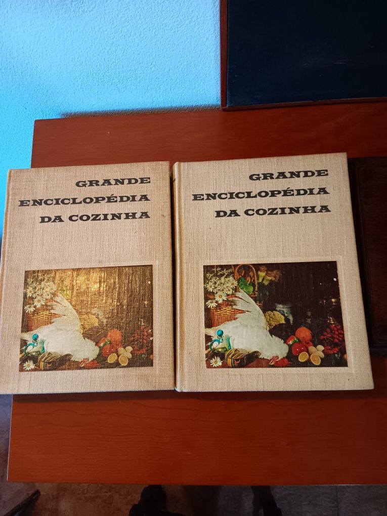 Grande Enciclopédia da Cozinha dois volumes