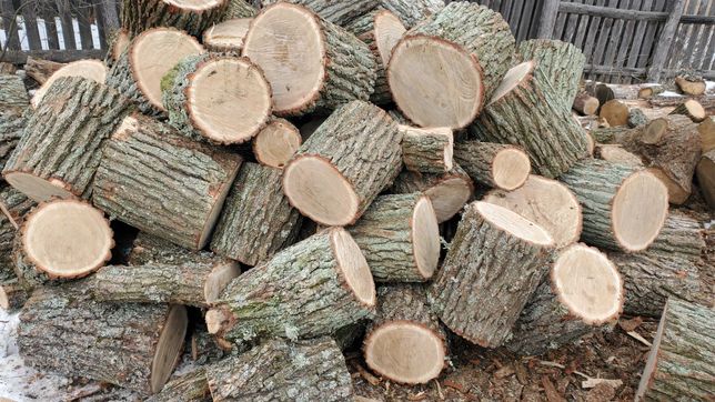 Продам дрова Сосна Дуб плотно уложены с доставкой