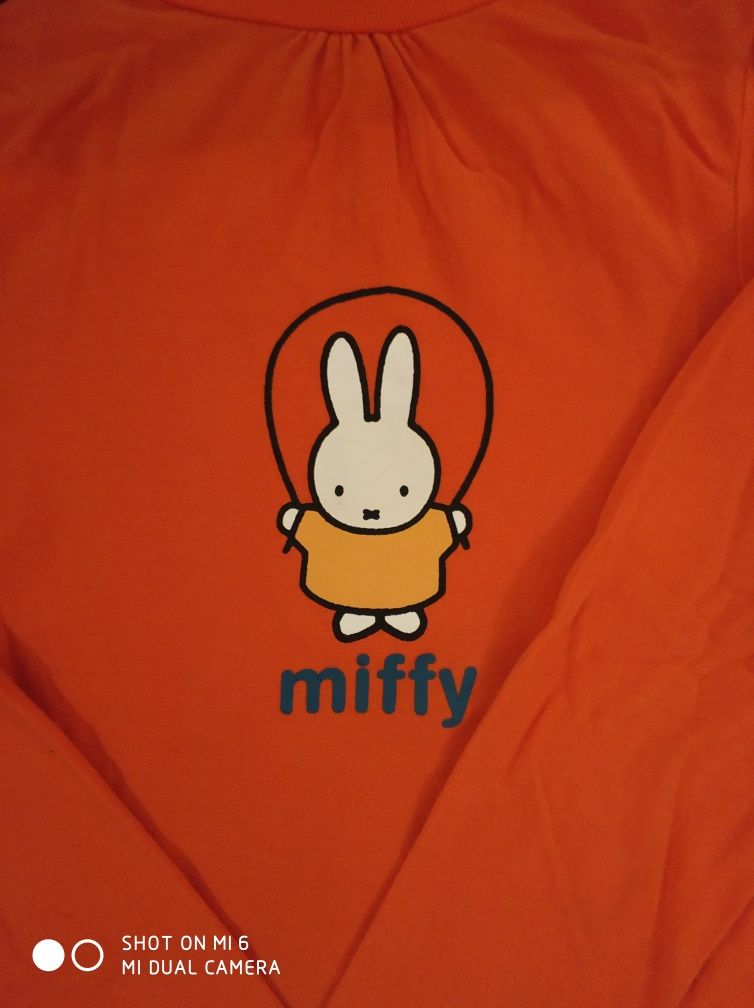 Camisola da Miffy