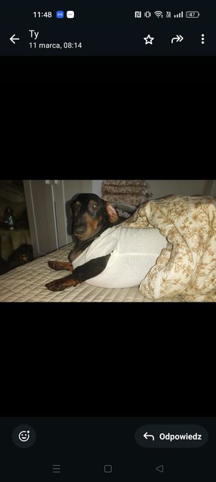 Narzuta na łóżko gruba 2,85 na 2,75 bardzo duża niemiecka qualitet