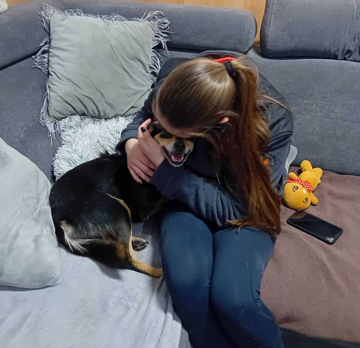 IVA - 11kg, 2 latka, łagodna, lubi koty, cudowna {FILMIKI}