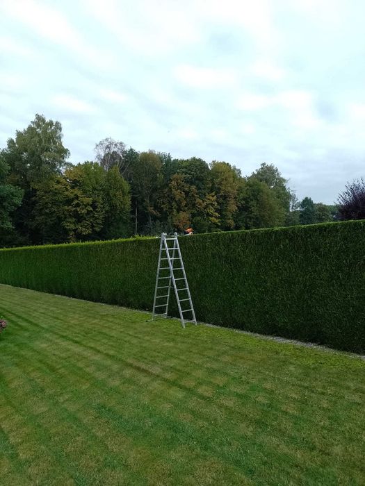 Pielęgnacja ogrodów, działek, koszenie trawy, przycinka oraz wycinka.