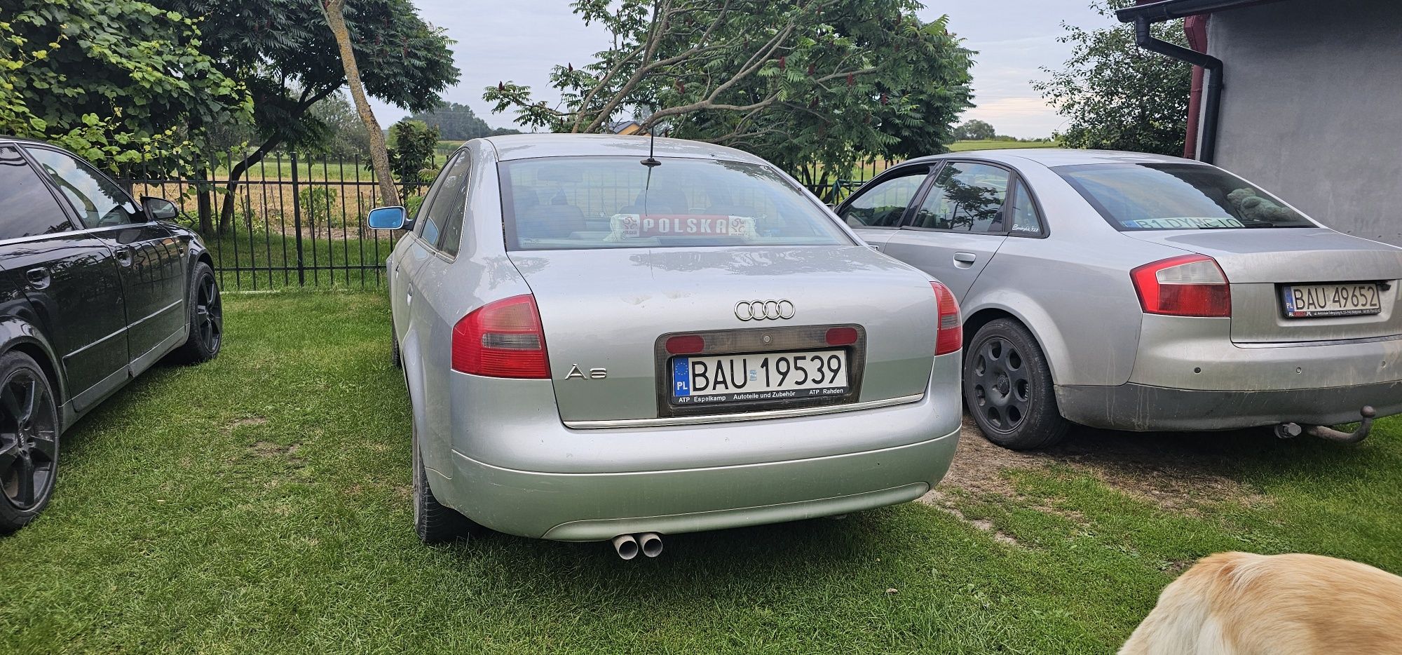Audi A6 C5 1.8 Turbo - uszkodzony silnik ( pukanie w górnej części )