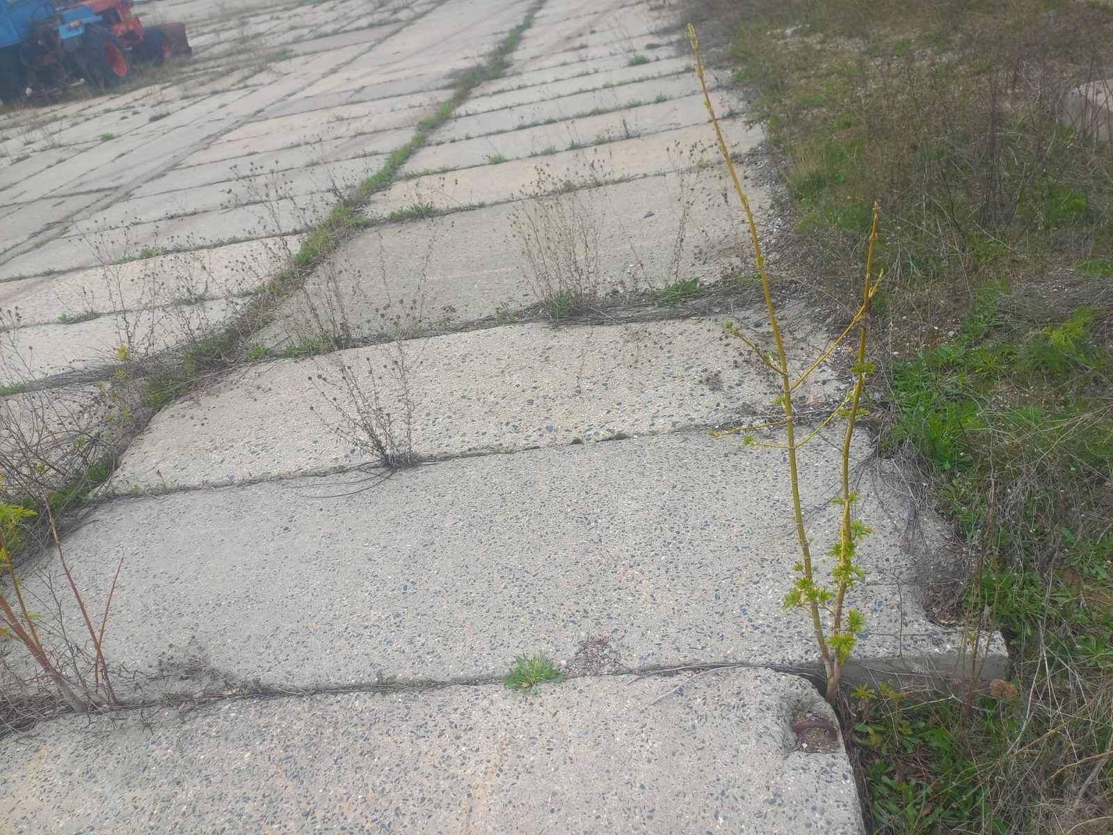 Продам дорожні Плити е объем