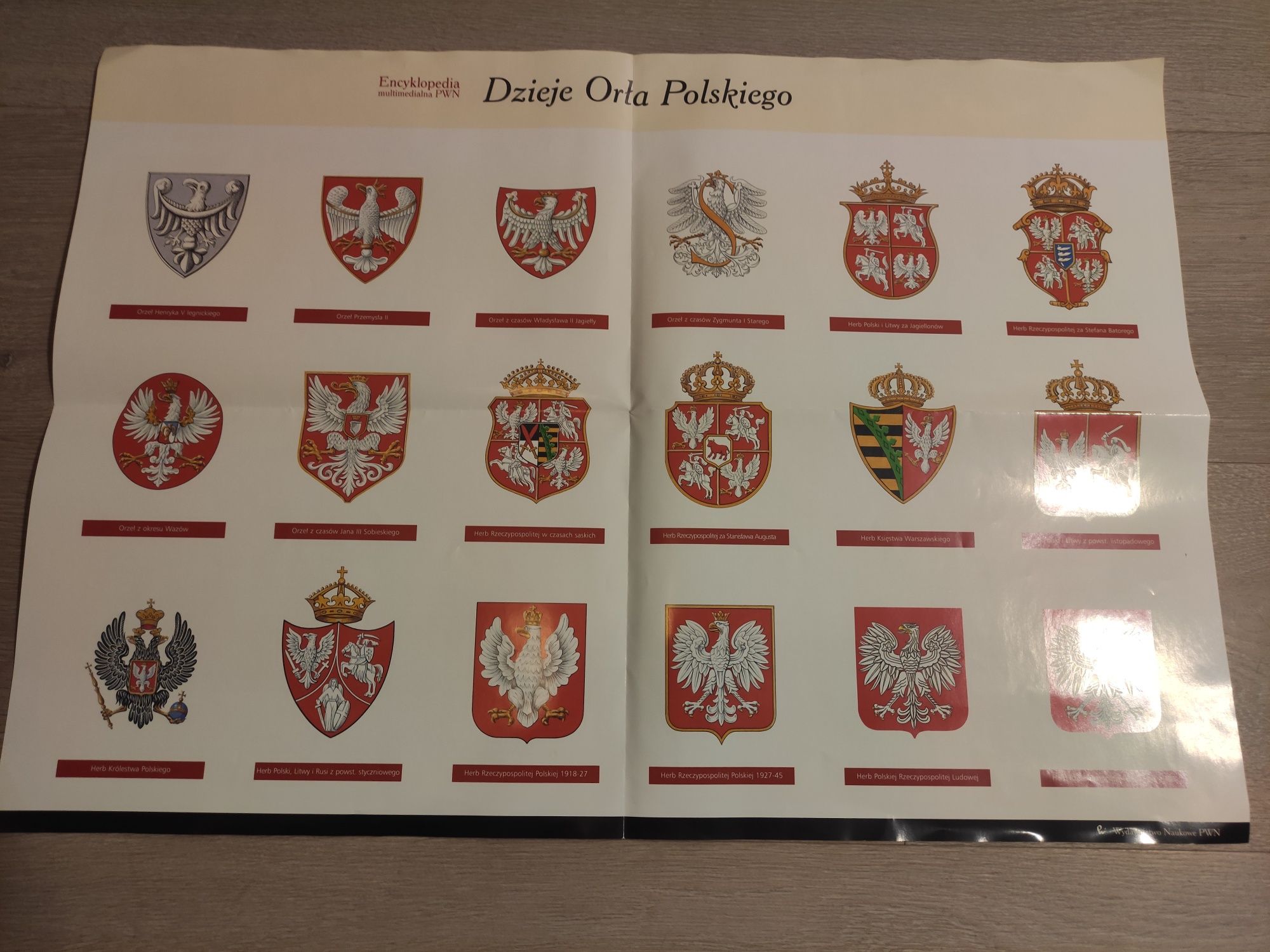 Plakat edukacyjny Napoleon i jego epoka. Dzieje Orła Polskiego