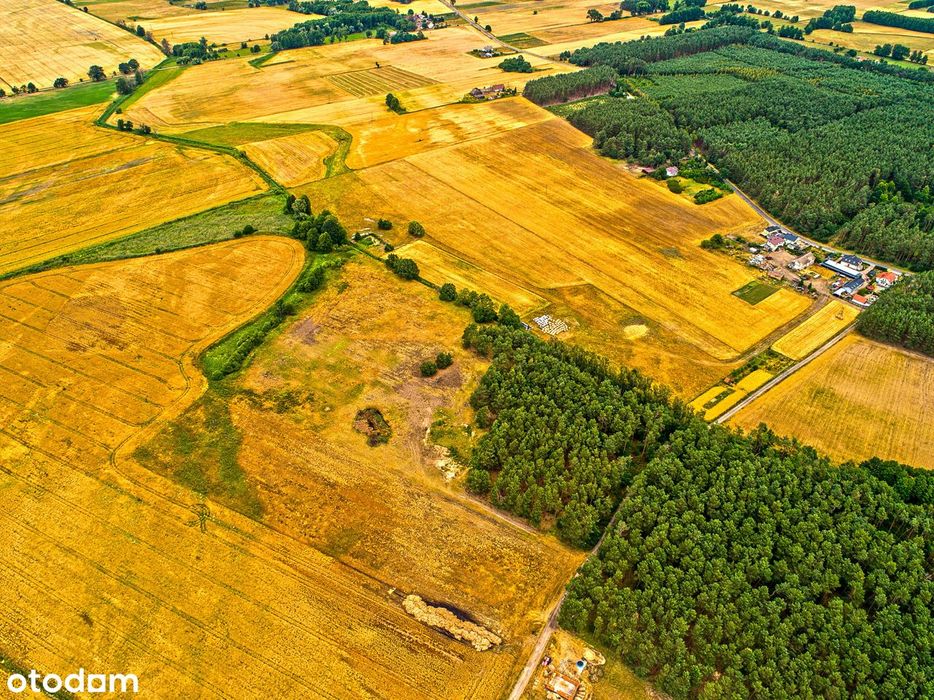 Murzynowo/Skwierzyna działki budowlane przy lesie
