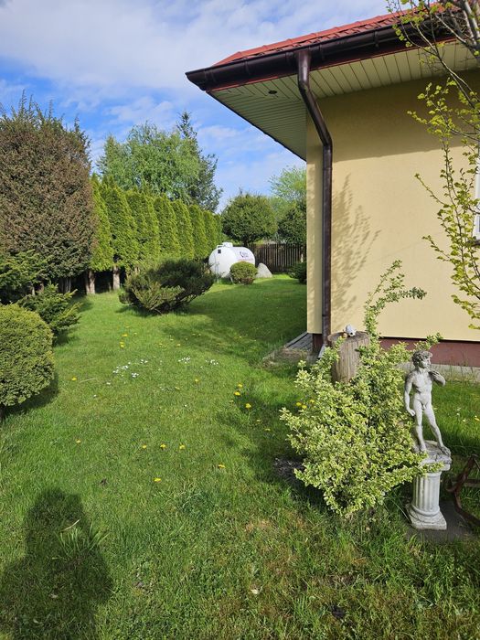 Wynajme dom Czarnówka/Glinianka