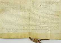 Carta Régia de Legitimação-D. Joao IV - Braga