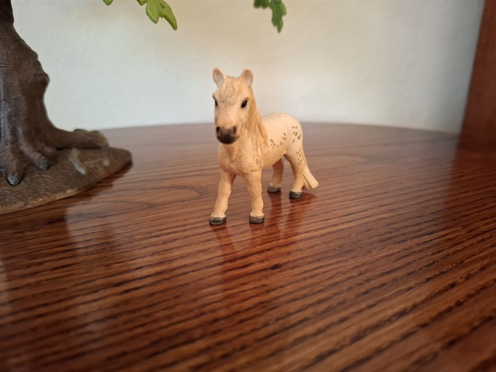 Wałach kuca falabella schleich