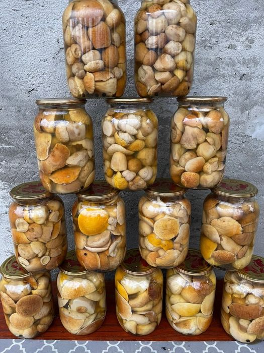 Мариновані білі гриби