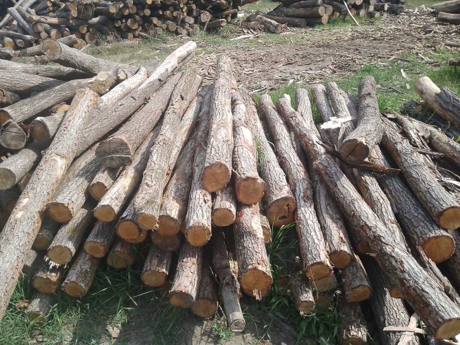Słupki,kołki,bale dębowe,akacjowe,sosnowe,olchowe