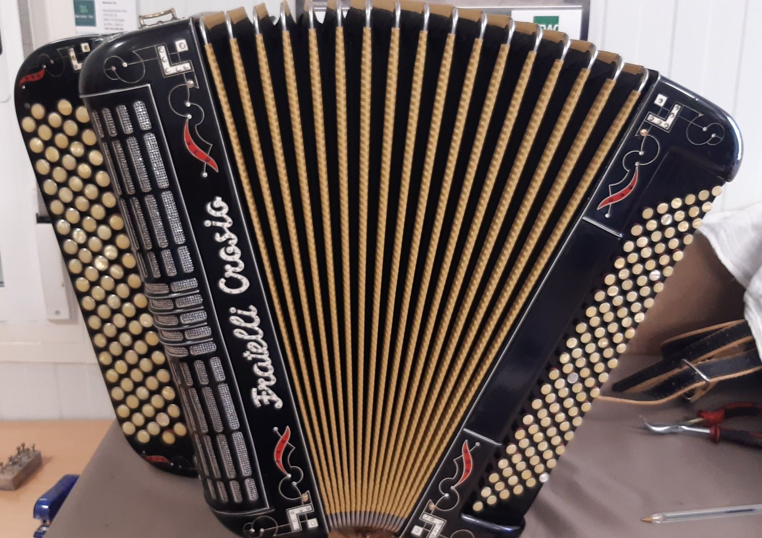Acordeão F.crosio 3voz