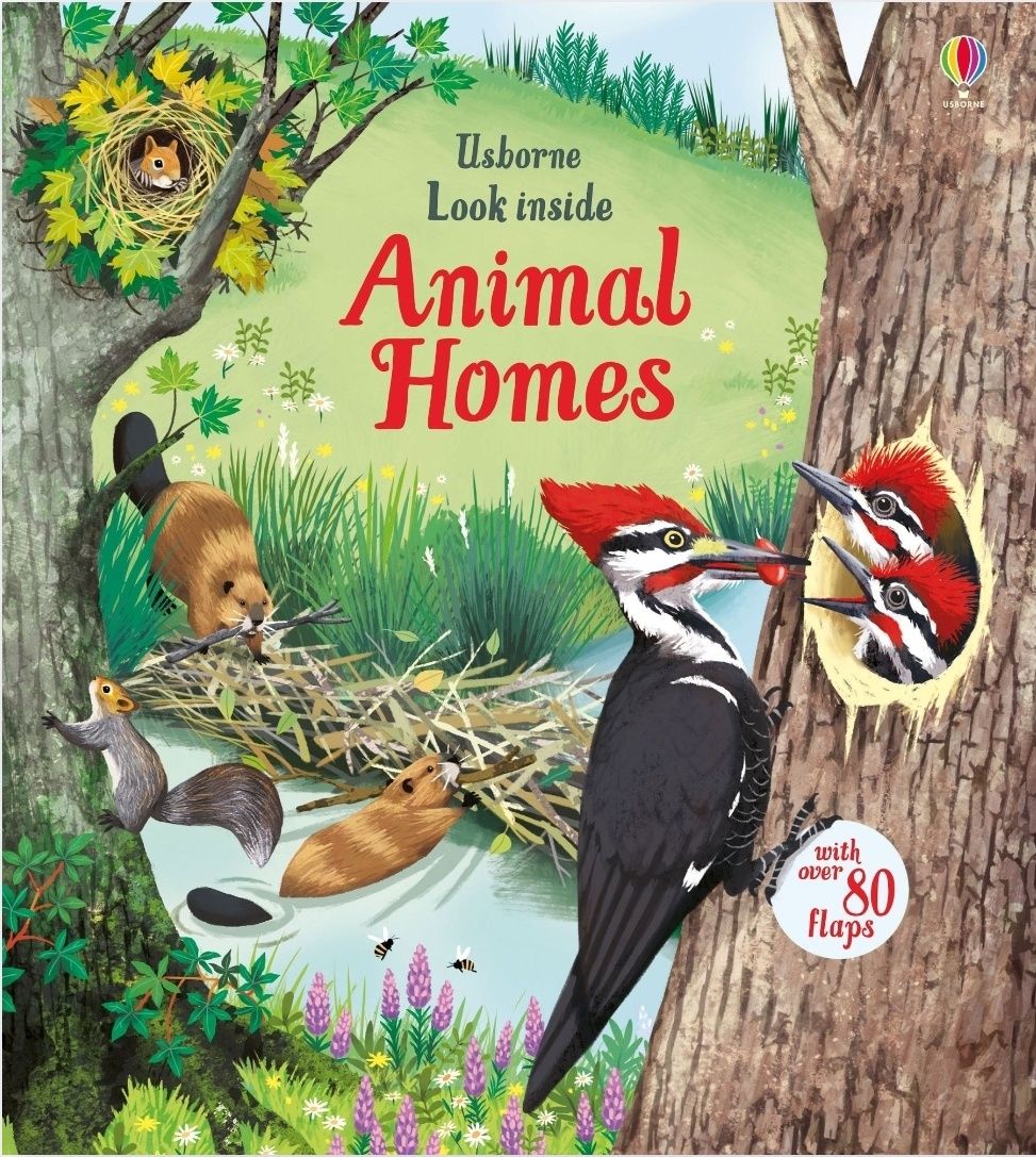 Usborne look inside nature jungle Дитячі книги англійською