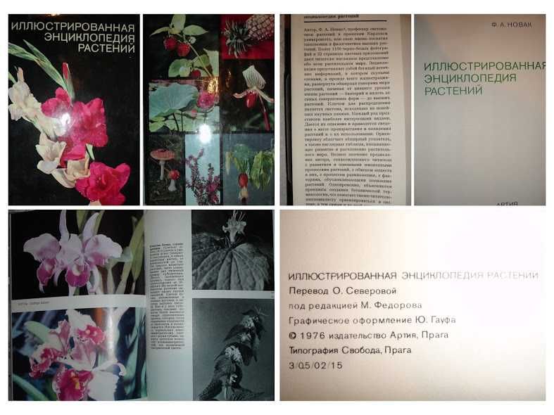 КНИГИ різні - КАТИХИЗМ, машинопись, ФЛОРА, рецептура, ЇЖА, страви інше