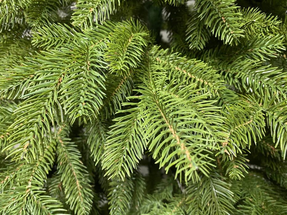 Ель литая Элит. Искусственные елки, искусственная елка. Штучна ялинка