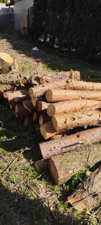 drewno opalowe,sosna