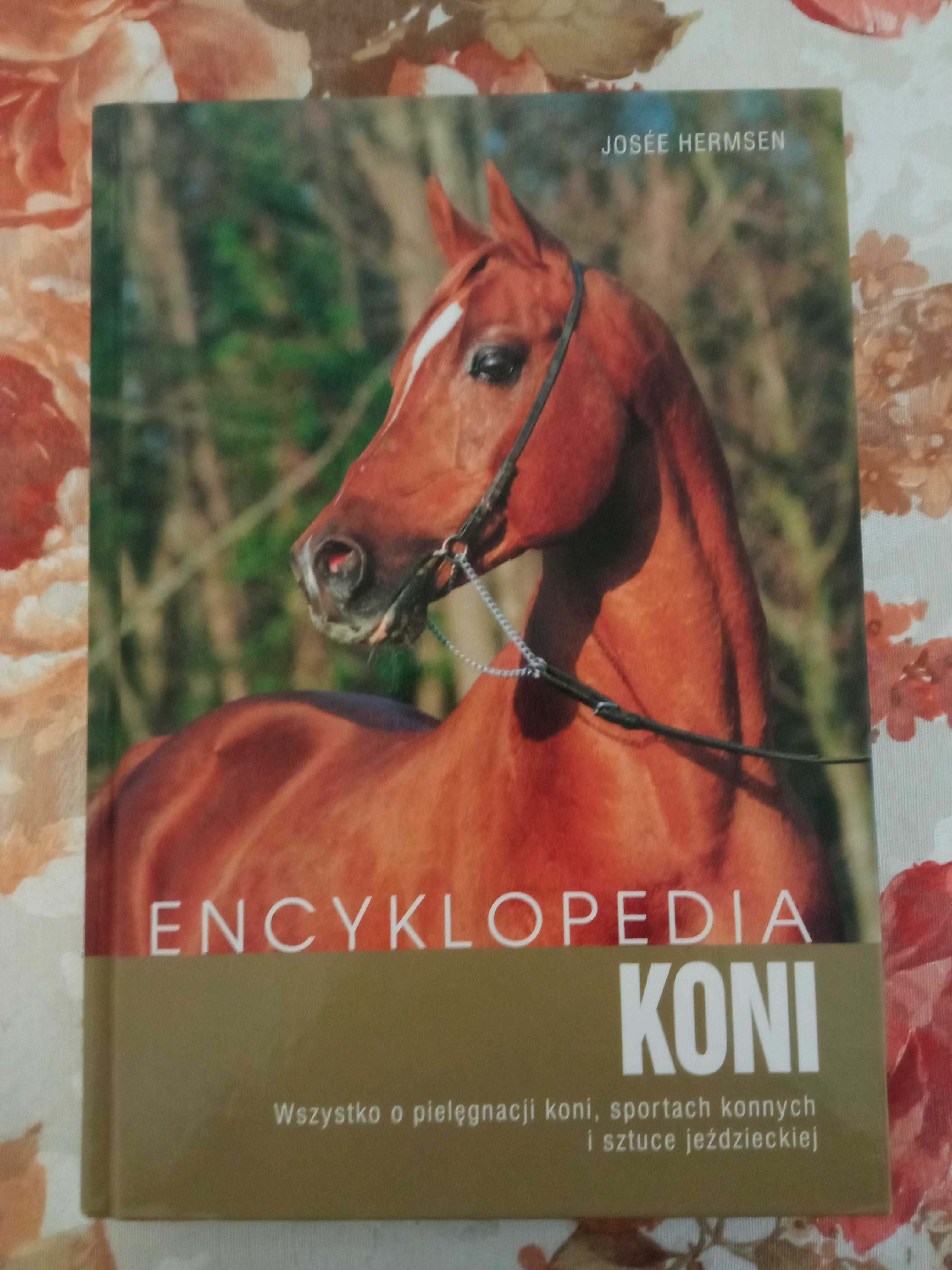 Encyklopedia KONI