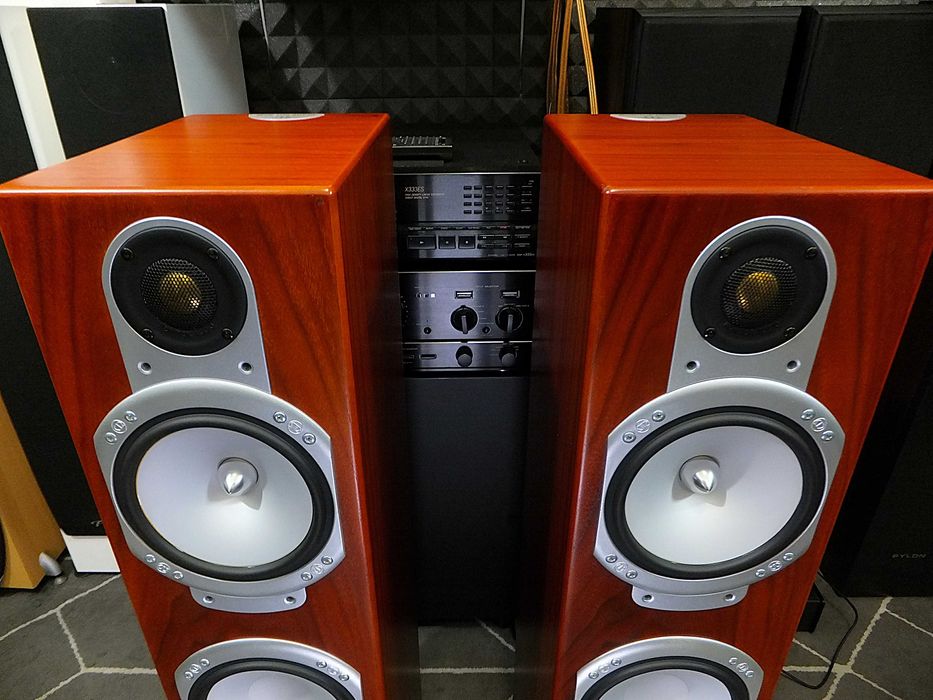 Wysokiej klasy kolumny głośnikowe MONITOR AUDIO SILVER RS8