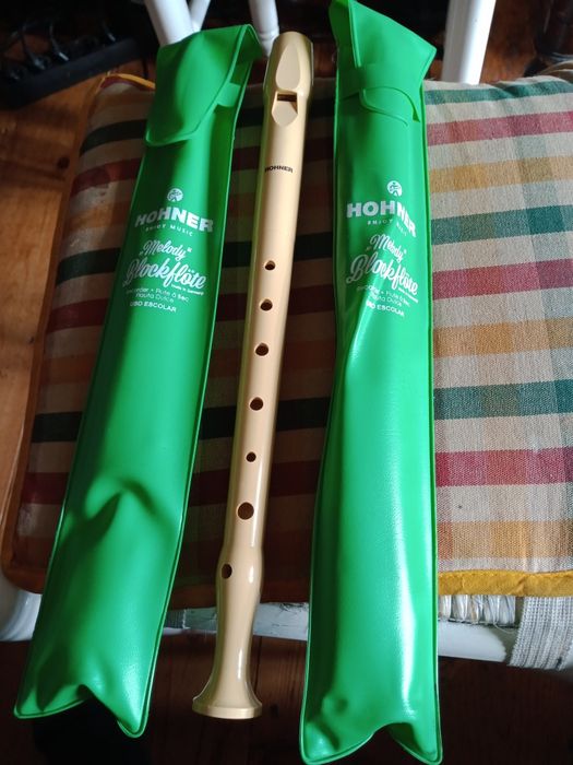 Flautas uso escolar, valor unitário 5€