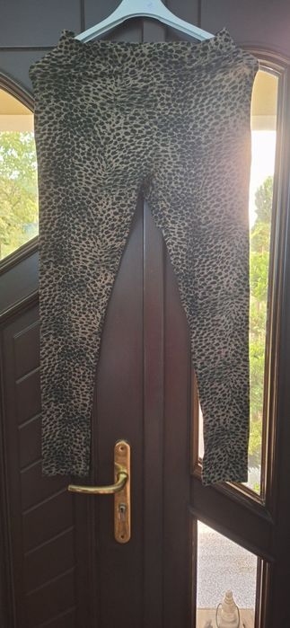 Leginsy damskie panterka