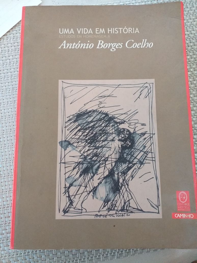 Uma vida em Historia, António Borges Coelho